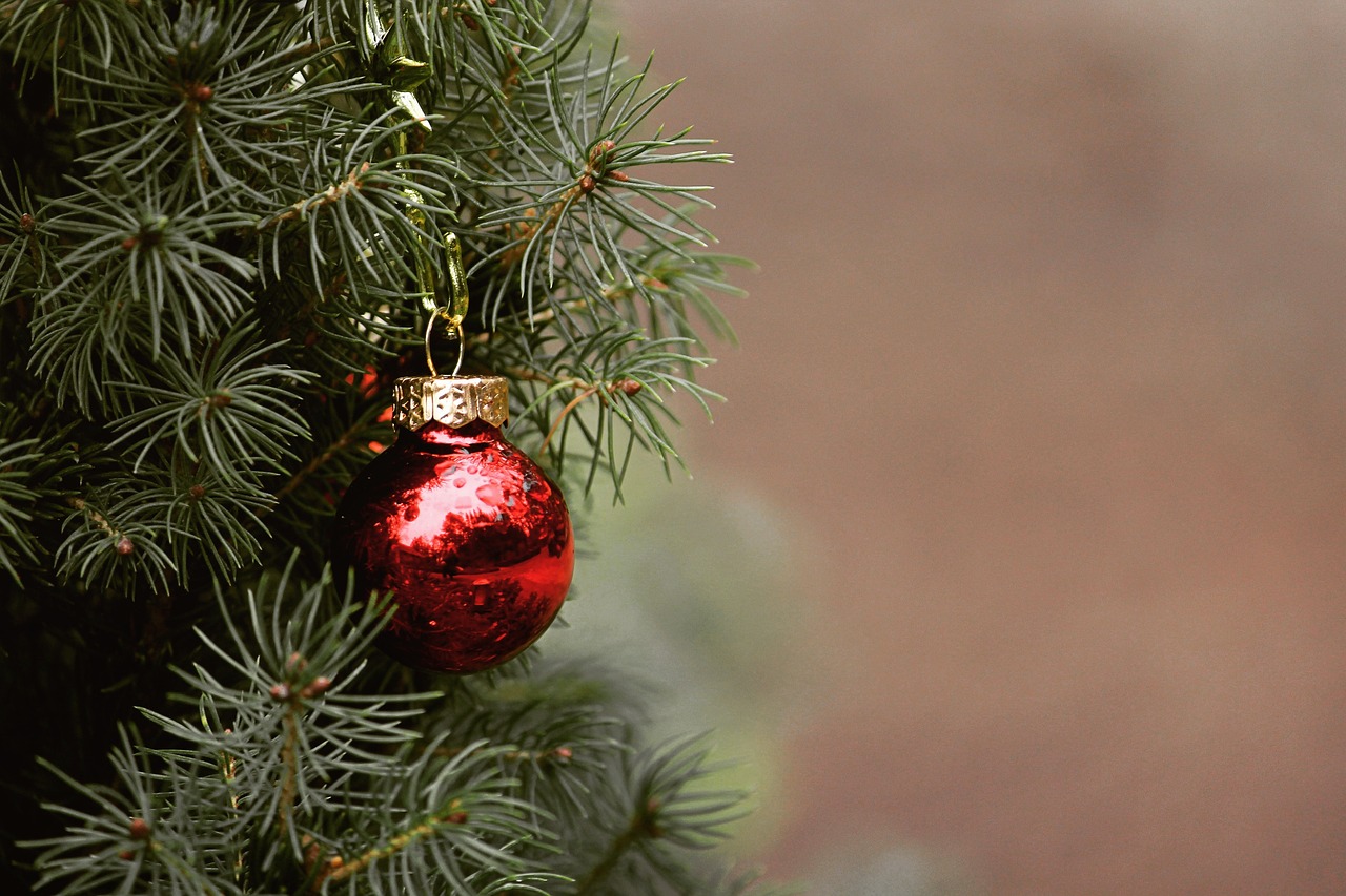 Explorerons les différents aspects écologiques liés aux sapins de Noël traditionnels, ainsi que des alternatives durables.
