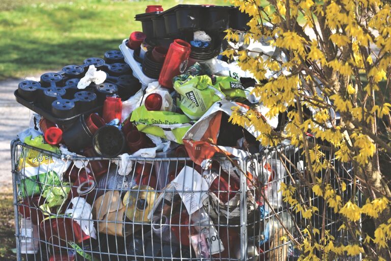 Découvrez des conseils pratiques pour réduire efficacement votre quantité de déchets au quotidien.