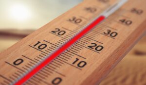 Cinq conseils pratiques, accessible et respectueux de l'environnement pour réduire la chaleur chez soi en été.
